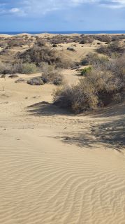 2023-GC--Mapalomas dunas-S123-078.jpg